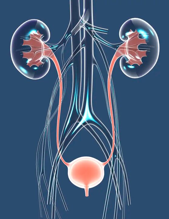 Illustrazione sana della salute maschile